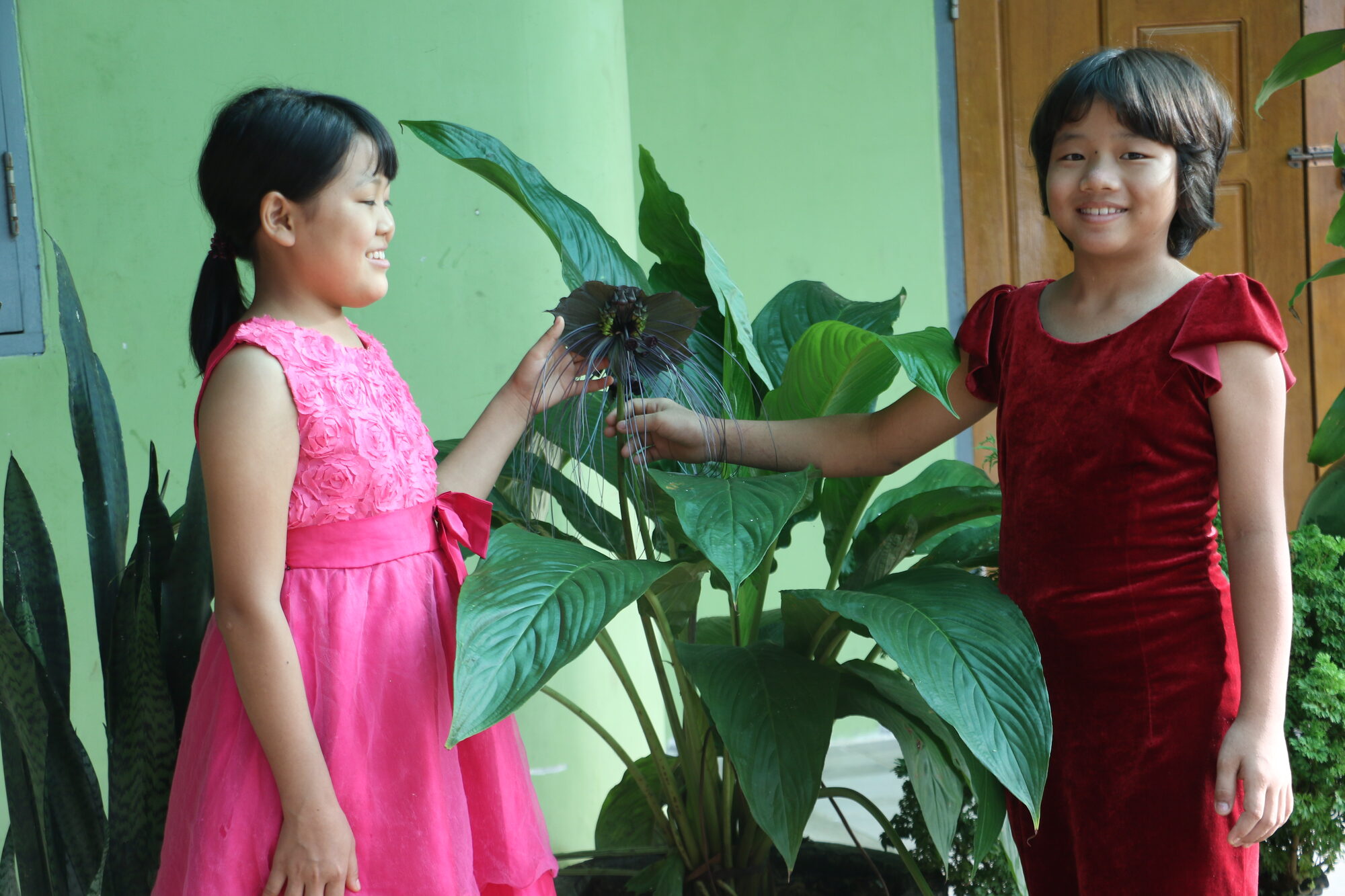 Two young women at Christ Embassy Children's Home with a flowering plant